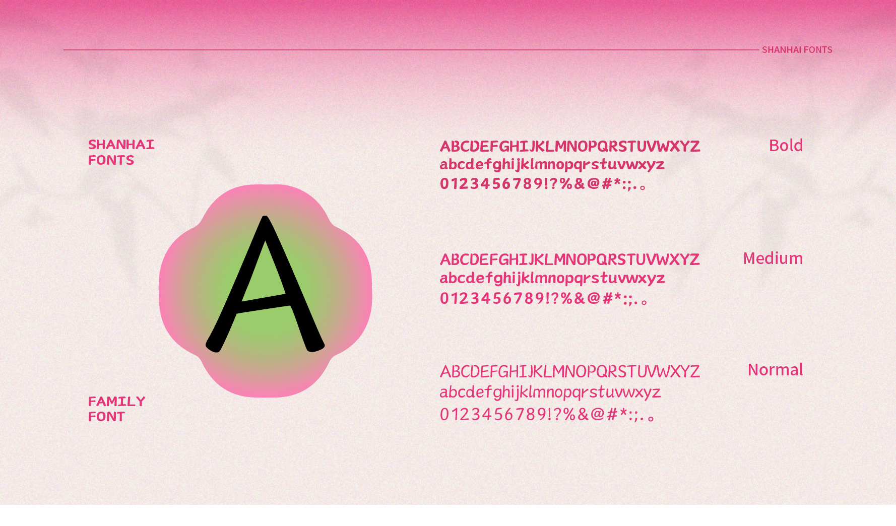 15_画板 1.jpg